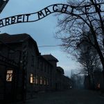 AUSCHWITZ ALBUM(S)