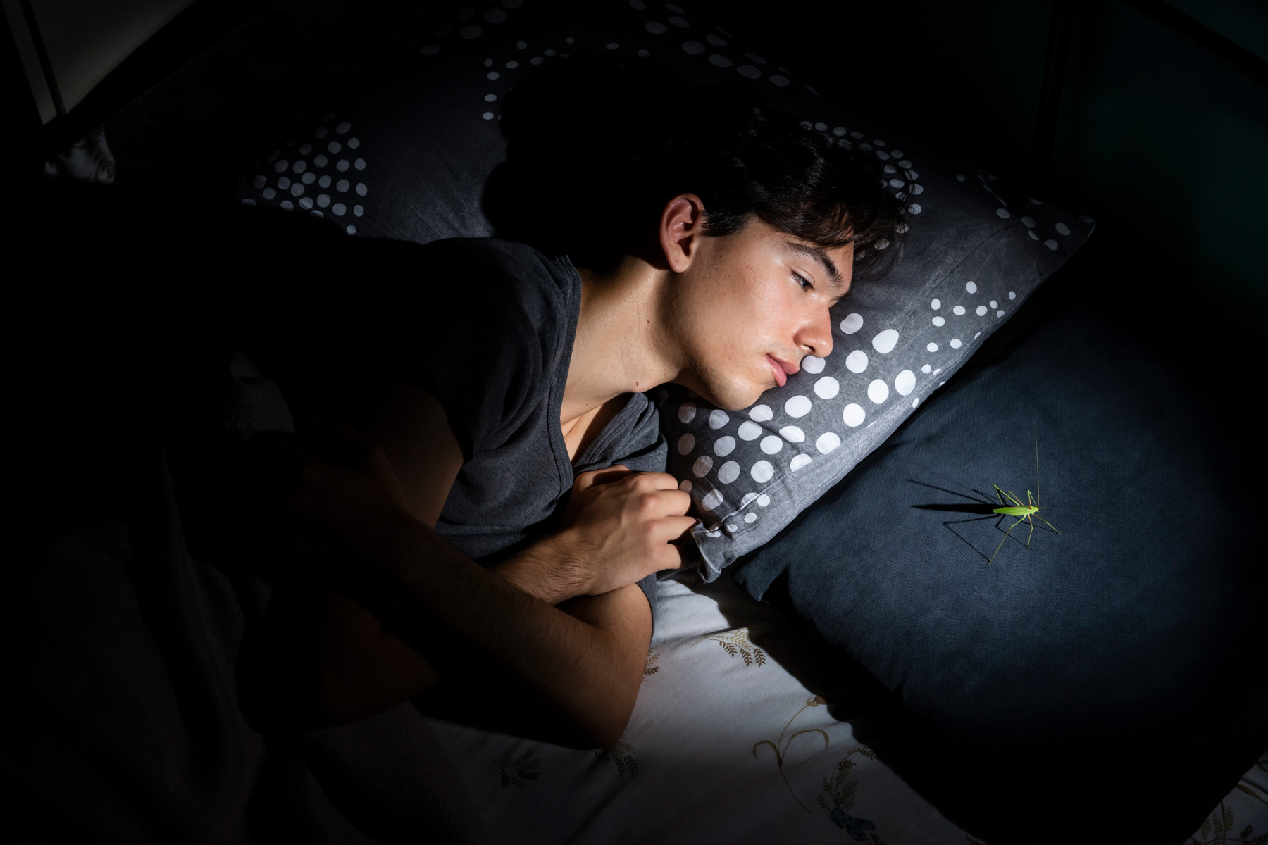 BUGBOY_02©Thalia-Galanopoulou