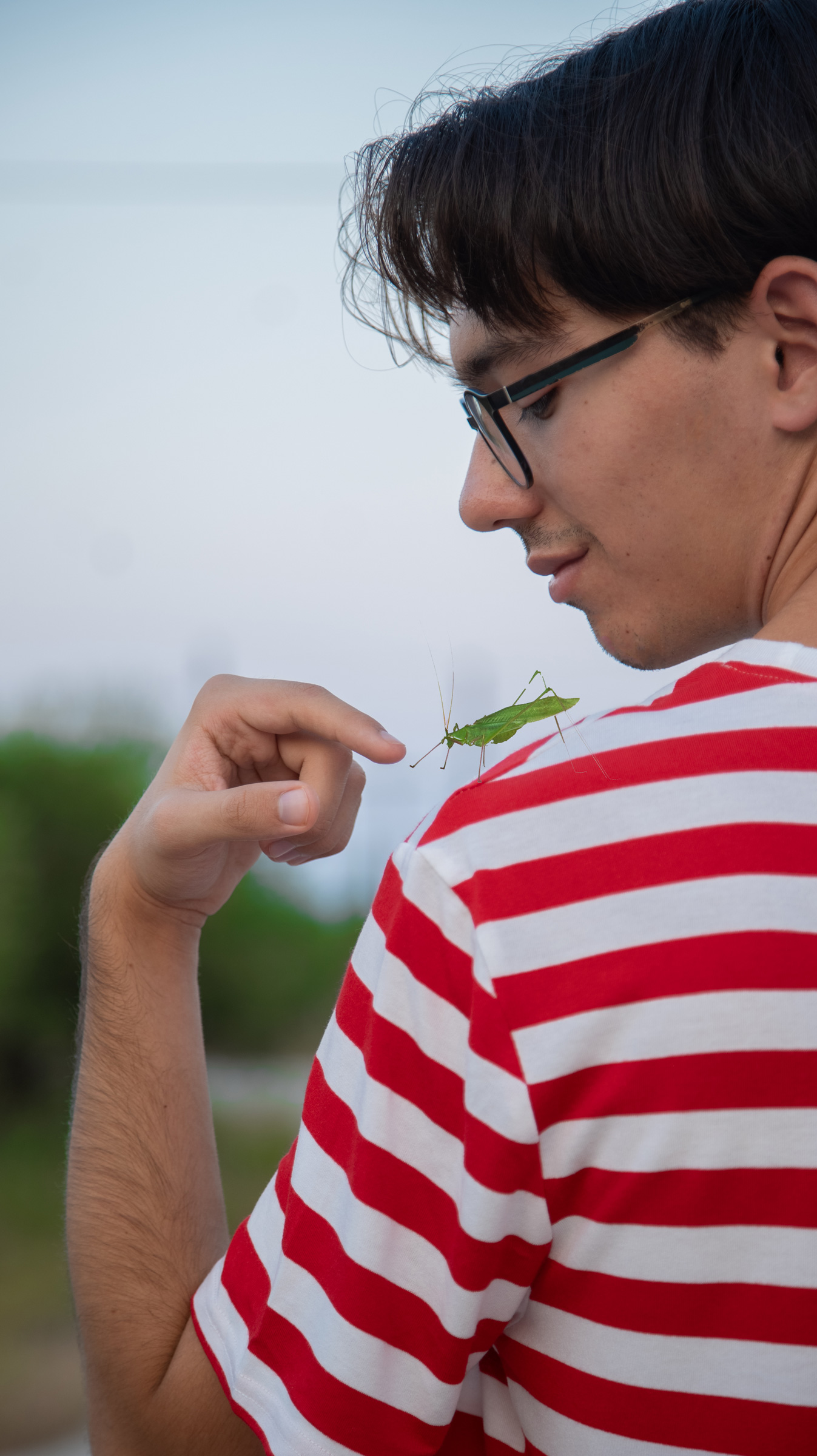 BUGBOY